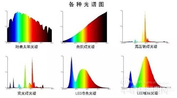 白炽灯与LED灯优劣对比，究竟哪种照明选择更适合你？,数据支持设计计划_S72.79.62