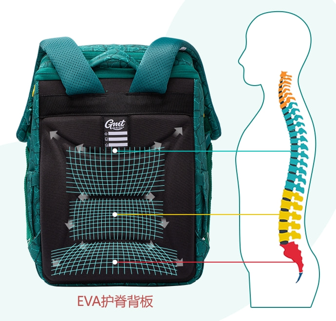 拉杆书包的作用