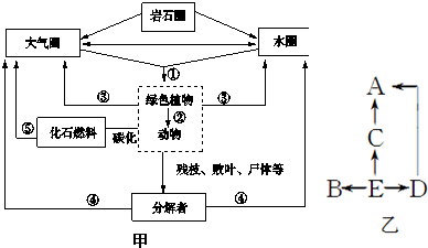 动物工业用油