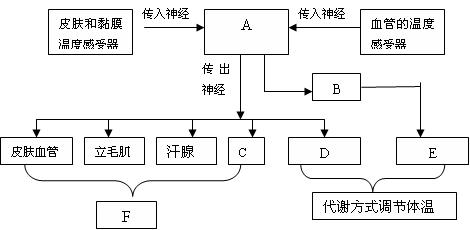 保温车工作原理，维持温度稳定的关键技术解析,科学研究解析说明_专业款32.70.19