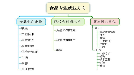 护色剂种类及其应用概述,安全解析策略_S11.58.76