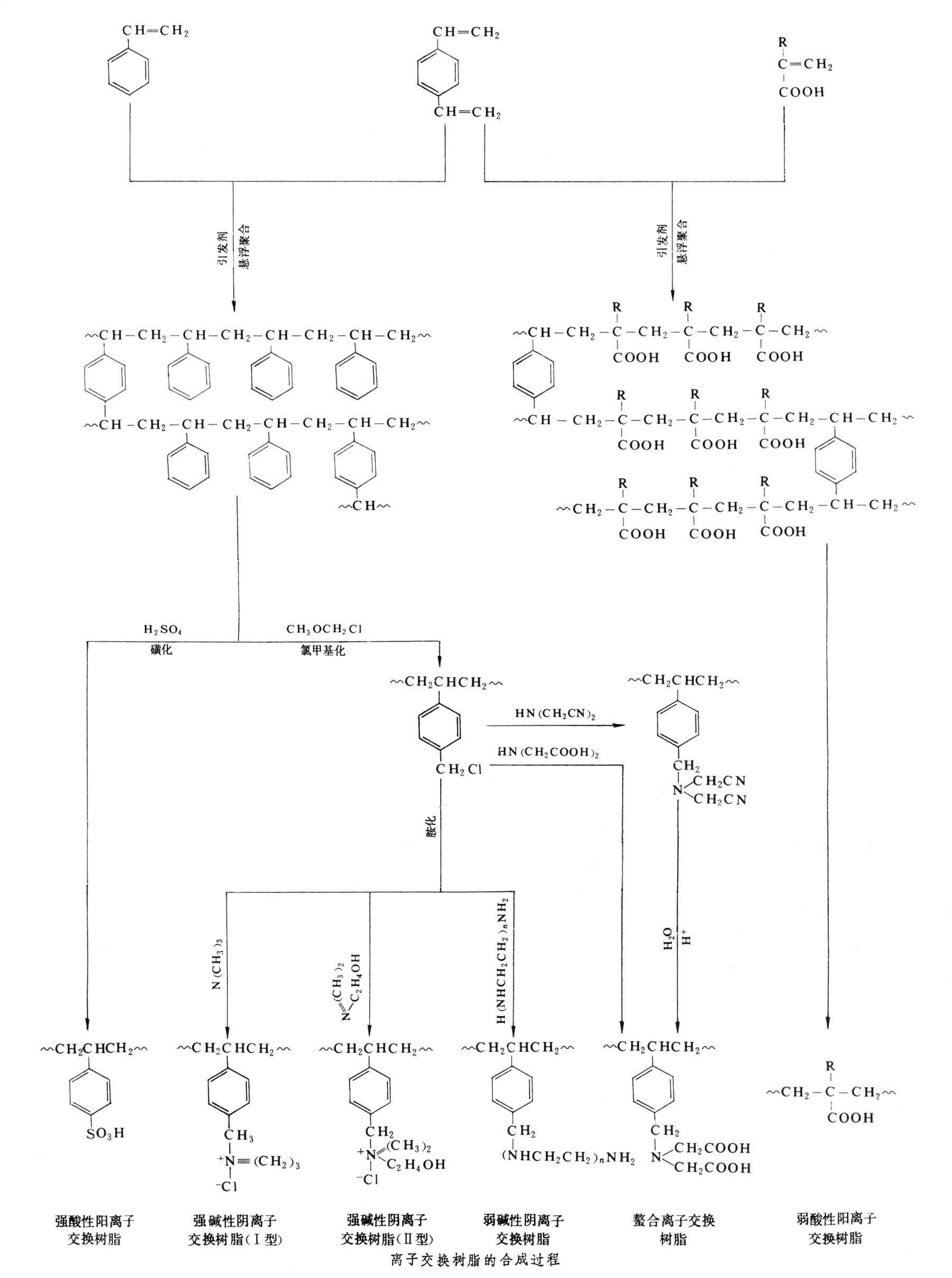 离子交换树脂的应用与基本要求，定义、定量分析解释及复古版的重要性,高效实施设计策略_储蓄版35.54.37