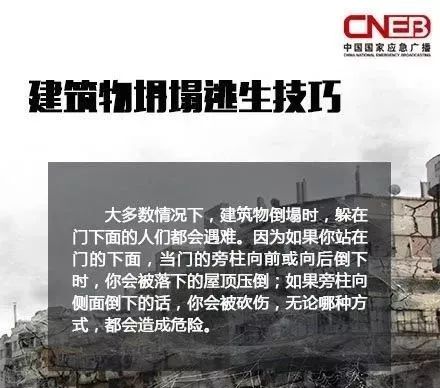 深圳体育馆倒塌事故调查报告,深圳体育馆倒塌事故调查报告及高效分析说明,创新性执行策略规划_特供款47.95.46