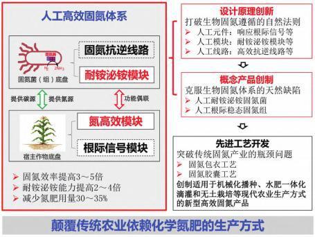 动物胶的作用,动物胶的作用及其在实地设计中的应用评估解析,高效分析说明_Harmony79.46.34