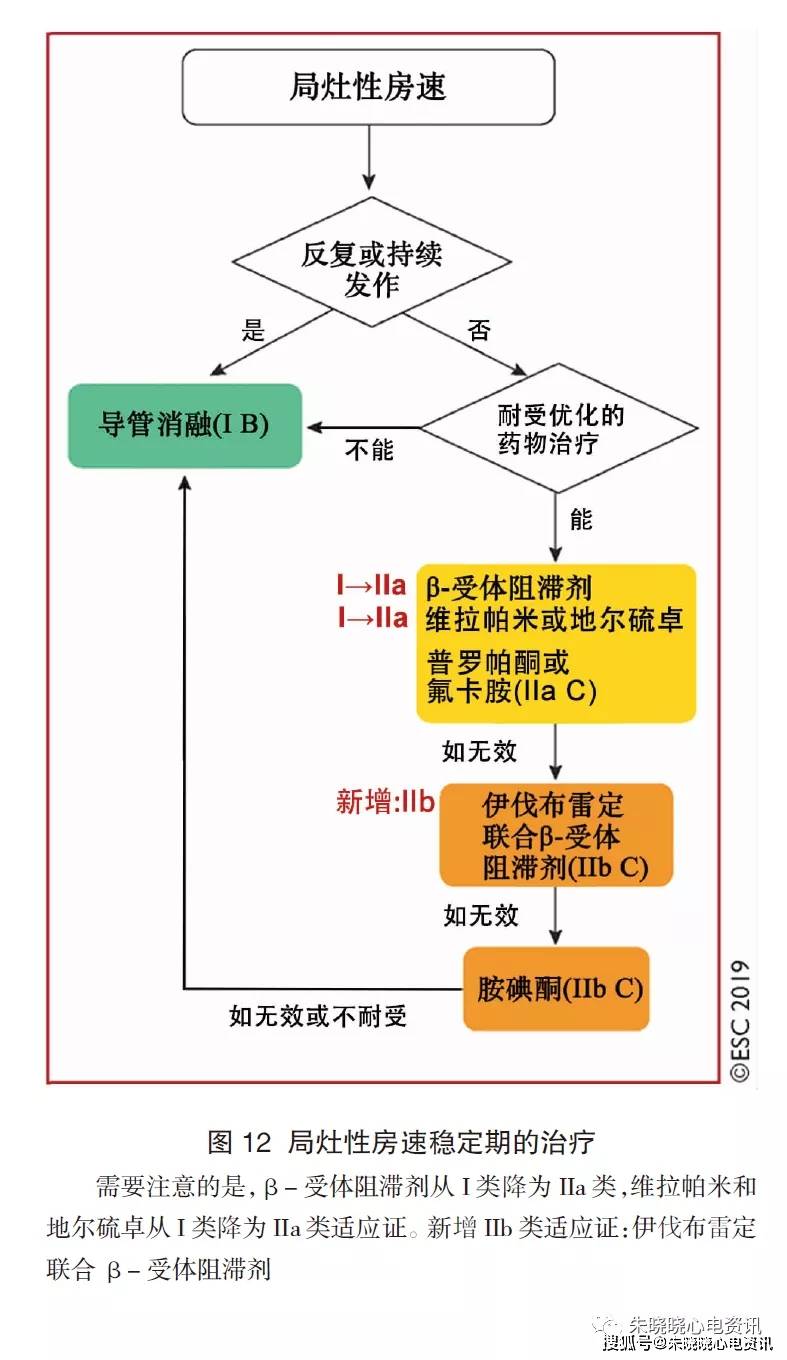 张李松大夫简介,张李松大夫简介及功能性操作方案制定,战略性方案优化_Chromebook56.71.50