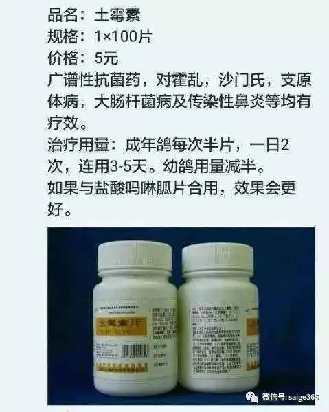 呕吐吃什么药好得快效果最好,呕吐病症的有效药物治疗与高速方案规划领航,动态解读说明_vShop76.70.52