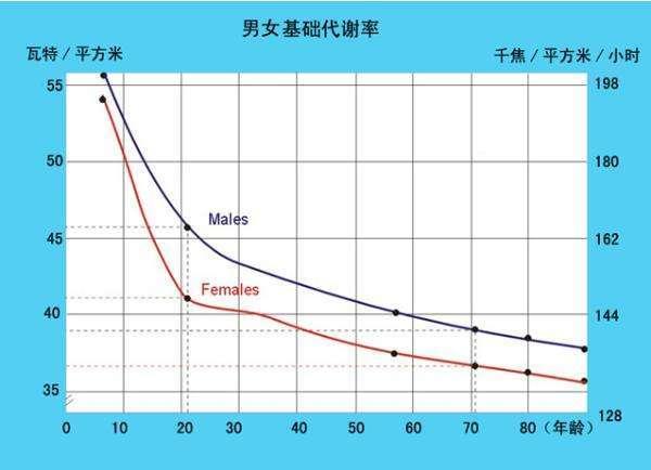 基础代谢率计算公式在线计算