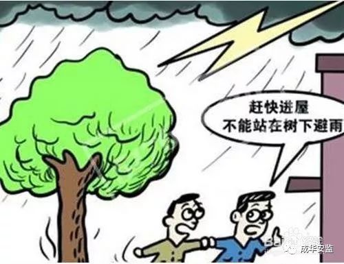 简易防雷装置