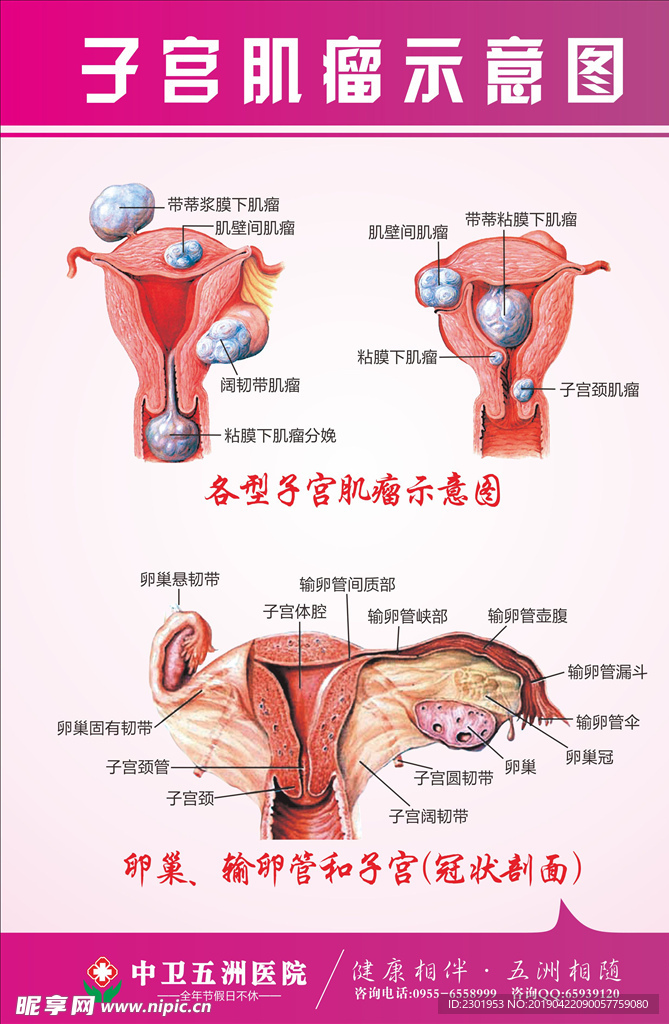 子宫内膜增厚是什么意思