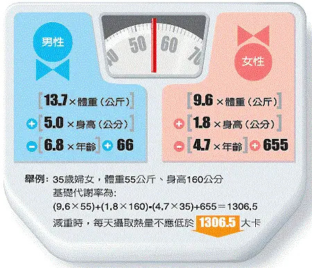 2024年12月28日