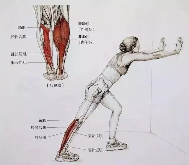 肌肉拉伤怎么快速恢复小腿