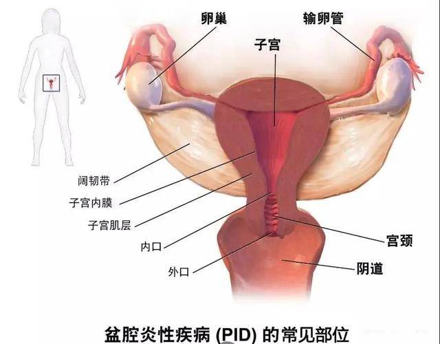 女性右下腹隐痛要当心了,女性右下腹隐痛的原因及适用性方案解析,效率资料解释定义_Elite51.62.94