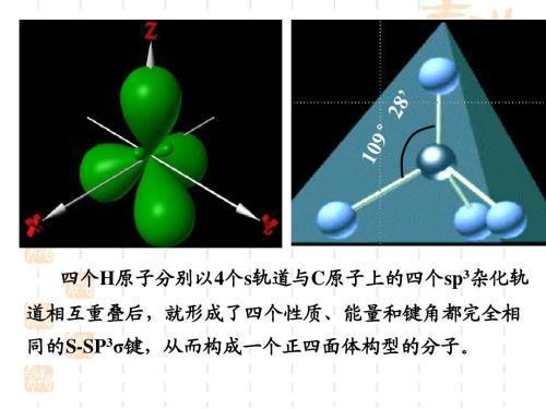 锰的杂化类型