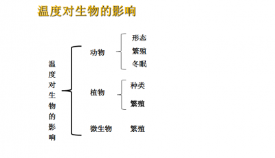 pvc农业专用管什么意思