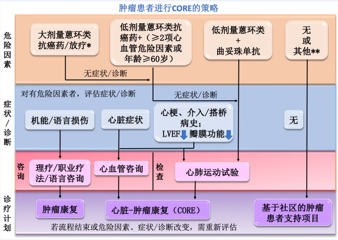 肿瘤的康复目标