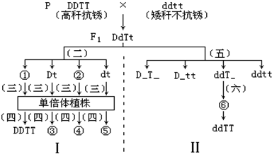 ABO溶血的概率