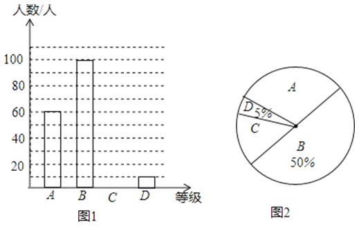 弹拨乐器的原理