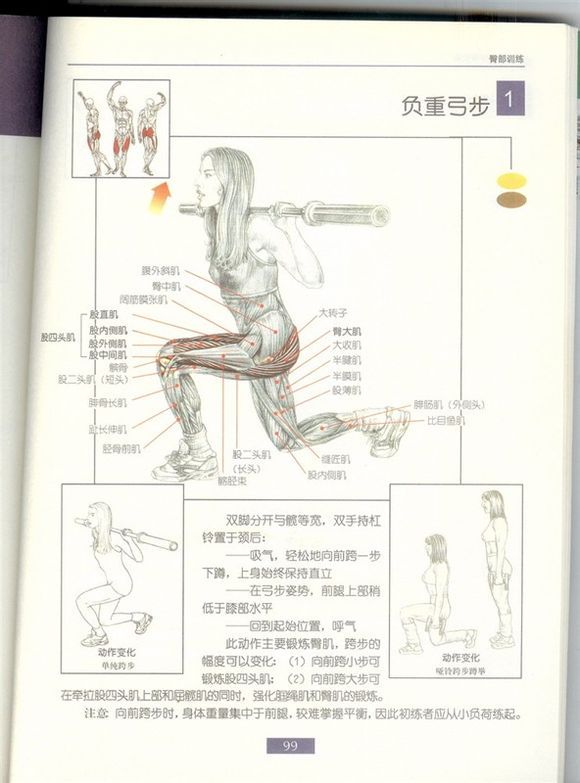 臀大肌训练动作原理