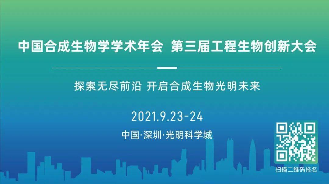 2025新澳资料免费大全,探索未来，2025新澳资料免费大全与高效实施设计策略_储蓄版35.54.37的洞察,全面应用分析数据_The37.83.49