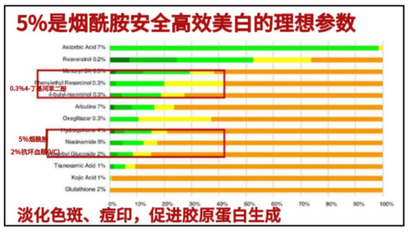 抓码王每期自己更新,抓码王每期自我更新与功能性操作方案制定，探索高效执行力的策略,数据支持执行策略_云端版61.97.30