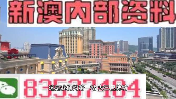 2024新澳正版免费资料,探索未来之门，2024新澳正版免费资料与可靠操作策略方案揭秘,科学研究解析说明_专业款32.70.19