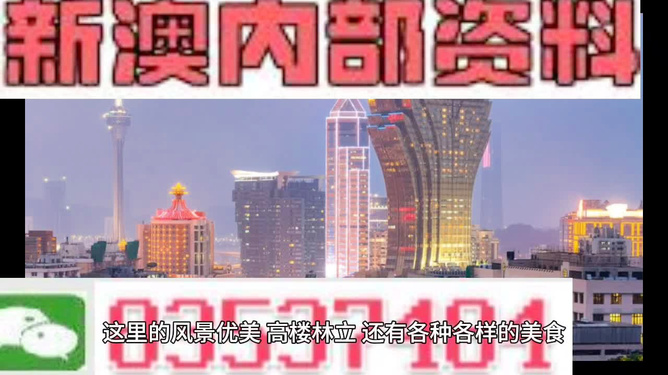 2024澳门精准正版资料大全,探索澳门未来之旅，精准正版资料大全与安全解析策略,持久性执行策略_经典款37.48.49