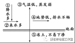 抓码王,探索抓码王现象，科学研究解析与说明,实时解答解析说明_Notebook65.47.12