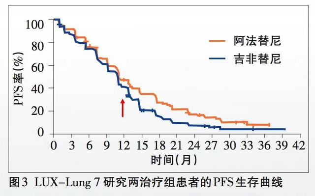 2025澳门天天开好彩大全最新版本