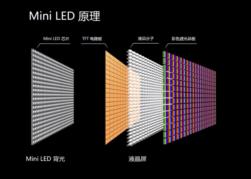 100%最准的一肖