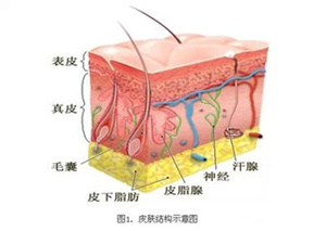 去痘印最有效的医院