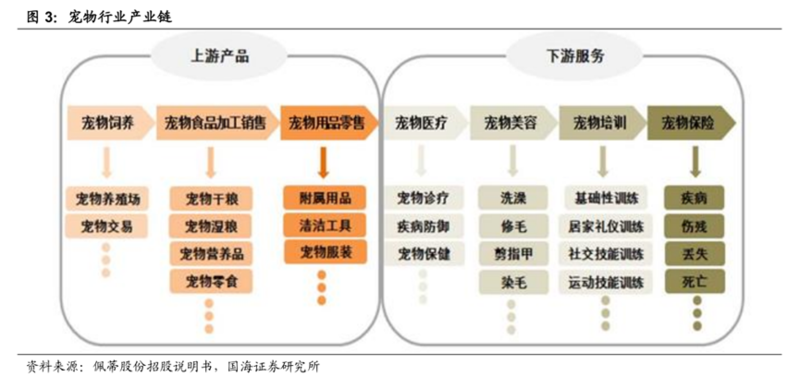 宠物食品及用品,宠物食品及用品，迅速处理解答问题，打造升级版宠物生活体验,实地设计评估解析_专属版74.56.17