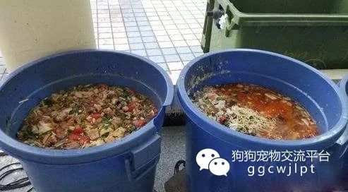 官方回应食堂给学生吃“狗食桶剩菜”