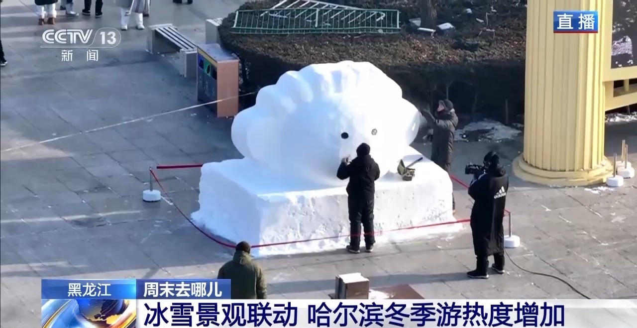 哈尔滨抓获23名冰雪大世界黄牛