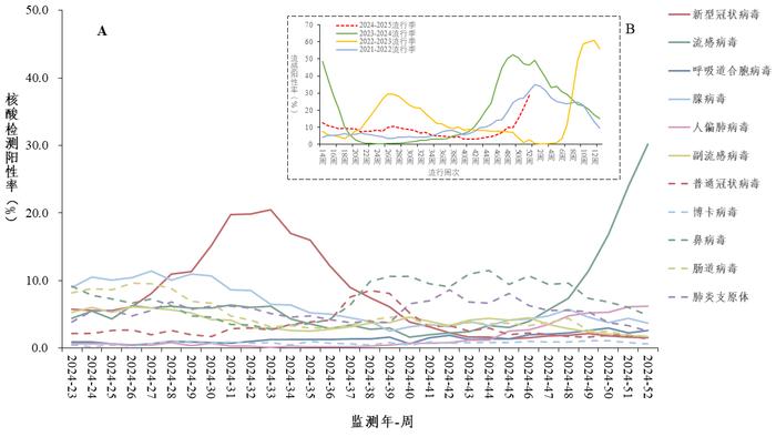 当前流感病毒阳性率低于去年同期