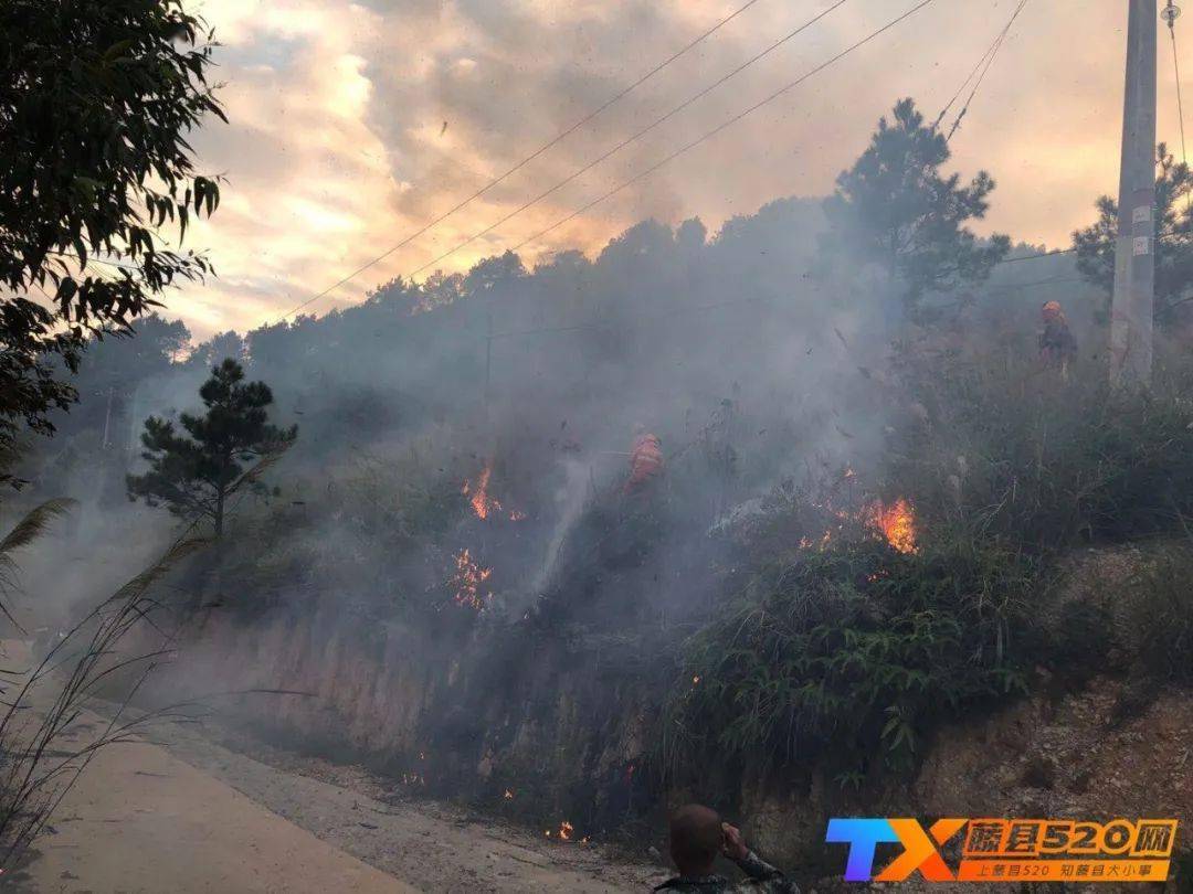 《摩登家庭》取景地被山火烧毁