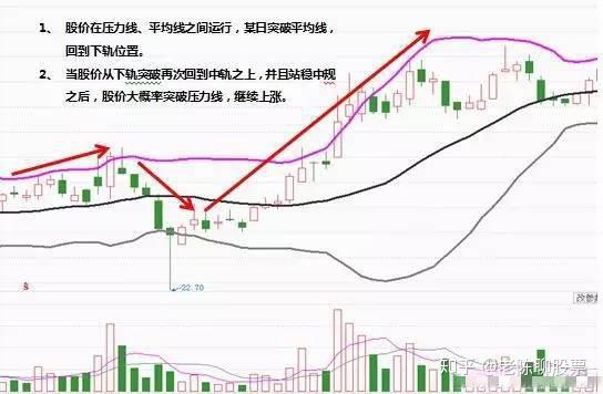 新澳门生肖走势图分布图